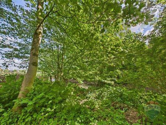 Fluss fließt am Grundstück vorbei