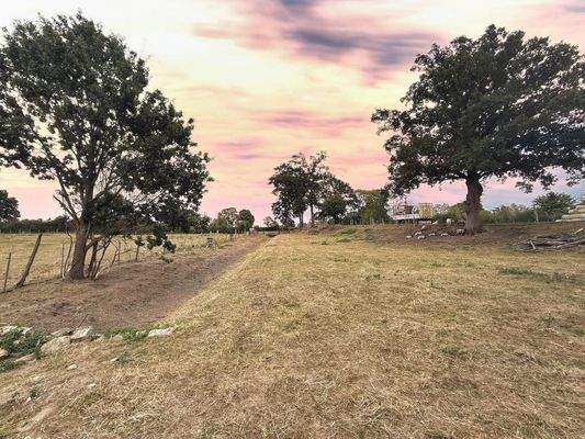 Grünland Viehwirtschaft