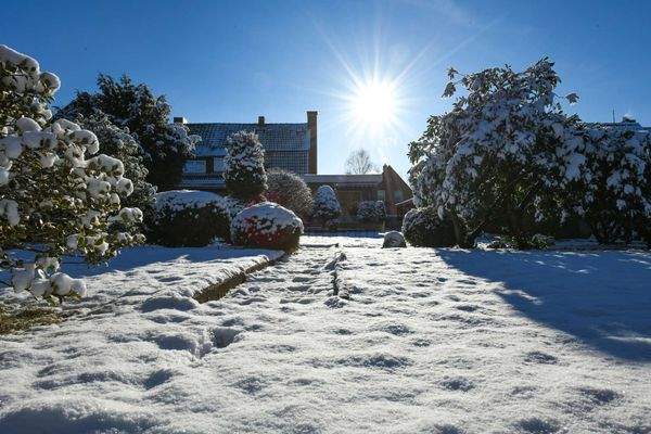 Hier könnte Ihr neues Zuhausen sein!