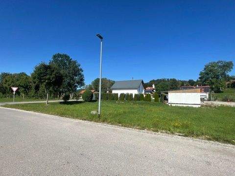 Vilgertshofen-Mundraching Grundstücke, Vilgertshofen-Mundraching Grundstück kaufen