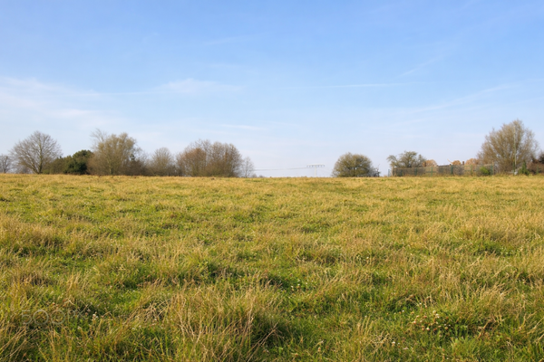 Das Grundstück (KI generiert)