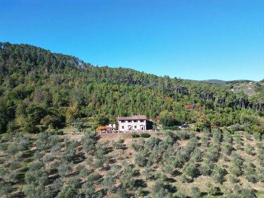 DJI_0885 - 1K JPEG.jpg