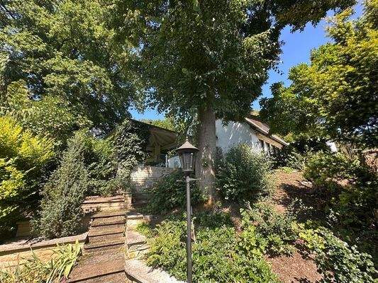 Impressionen des Grundstücks 