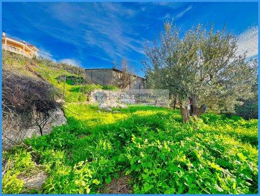 c220fffe513b4a2a8412889a652876aa-original