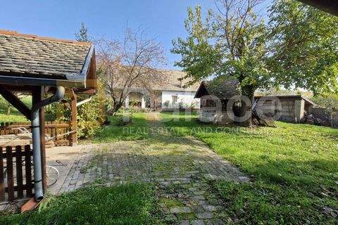 Erdut Häuser, Erdut Haus kaufen