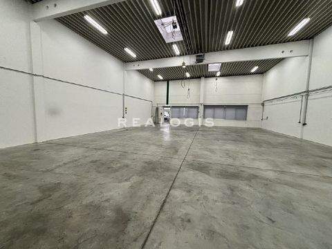 Stelle Halle, Stelle Hallenfläche