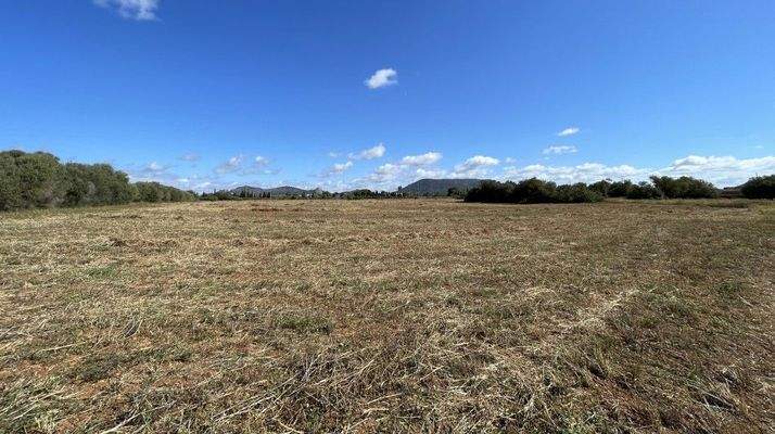 Grundstück zum Verkauf mit Projekt für exklusive Finca in Llucmajor, Mallorca