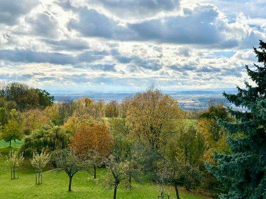 Blick aus dem Obergeschoss Richtung Süden