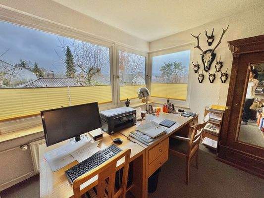 Anbau (Arbeitszimmer)