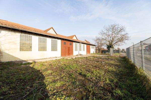 Grundstück-hinten (1).jpg