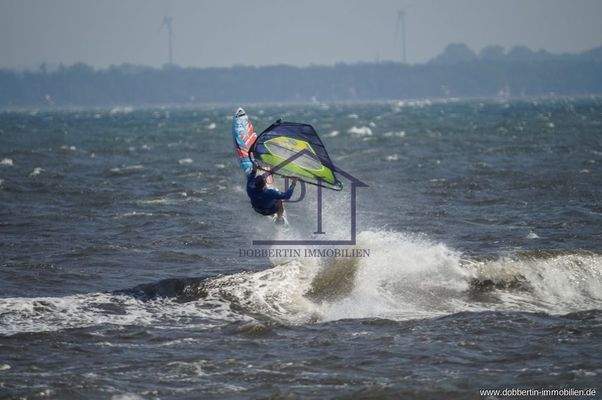 Windsurfer