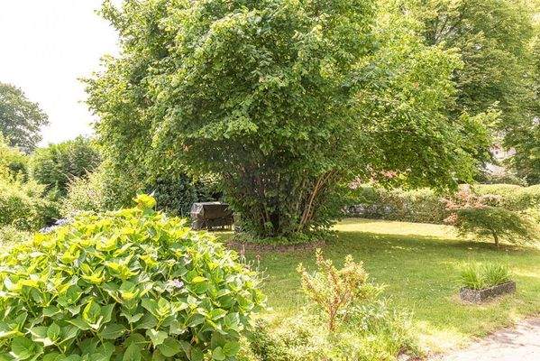 Garten oder Baugrundstück