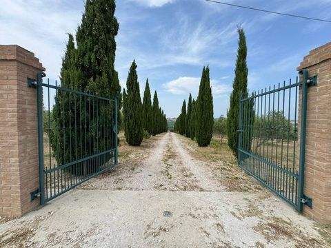 Bellante Häuser, Bellante Haus kaufen