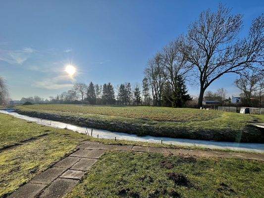 freier Blick ins Grüne