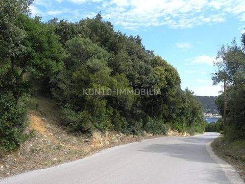 Rab Bauernhöfe, Landwirtschaft, Rab Forstwirtschaft