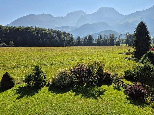 Königliche Aussichten....