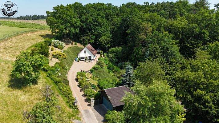 Einfahrt, Garten und Wald