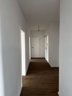 IMG_5345