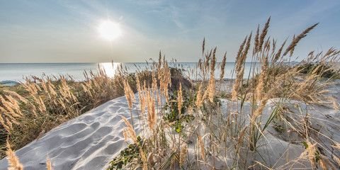 Der weiße Ostseestrand gleich vor der Tür