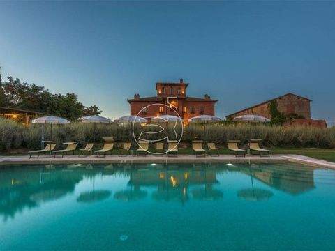 Sinalunga Gastronomie, Pacht, Gaststätten