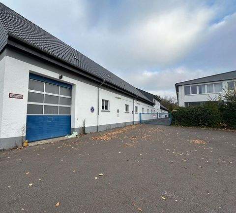 Saarlouis Halle, Saarlouis Hallenfläche