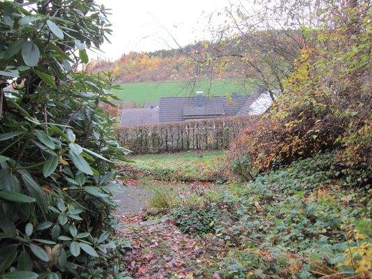 IMG_4229 - Kopie.JPG