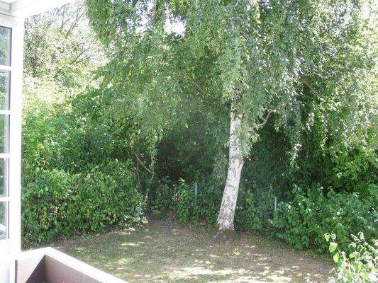 Der Blick vom Balkon ins Grüne 