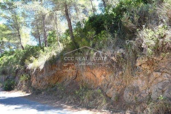 Ansicht des Grundstückes