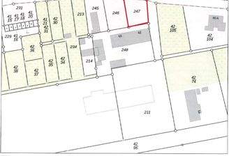 Flurkarte Flurstück 247