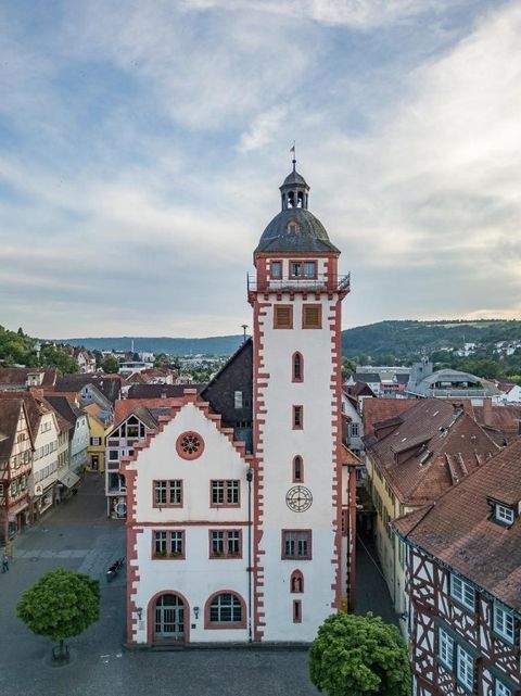 Mosbach Büros, Büroräume, Büroflächen 