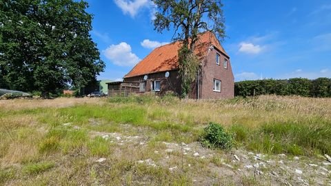 Borstel Häuser, Borstel Haus kaufen