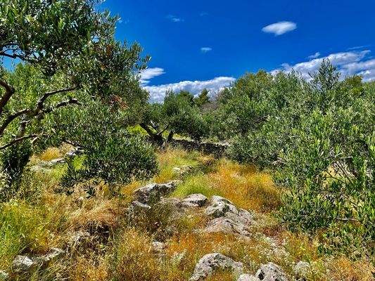 Umgebung mit Meerblick 