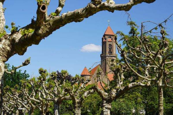 Blick auf die Pauluskirche aus der Allee