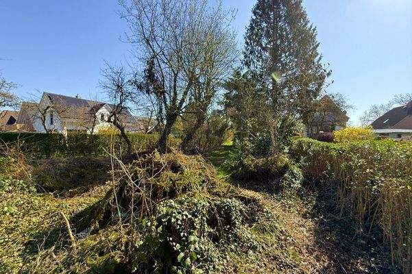 hinterer Gartenbereich