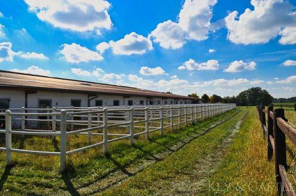 Paddockboxen (Stallgasse 2.)