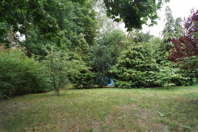 Am Landschaftsschutzgebiet gelegen, Baugrundstück im Kurort Blenhorst (Balge), Ausblick unverbaubar