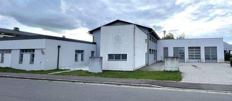 Villach Halle, Villach Hallenfläche