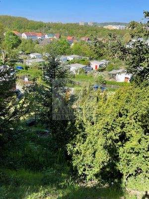 Aussicht v. Bungalow