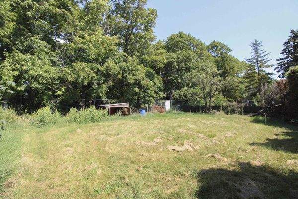 Hinterer Gartenbereich