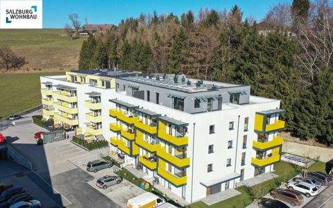 Straßwalchen Garage, Straßwalchen Stellplatz