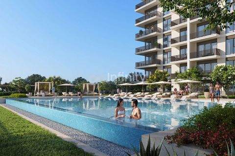 Dubai Häuser, Dubai Haus kaufen