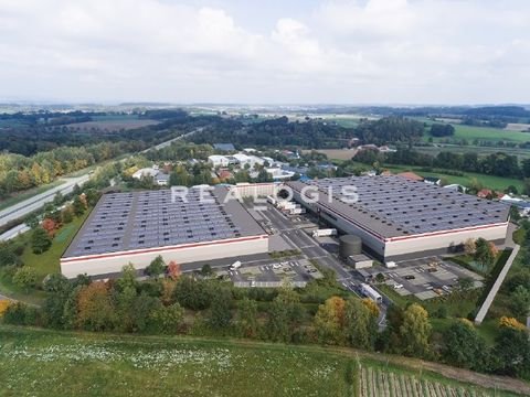 Siegenburg Halle, Siegenburg Hallenfläche