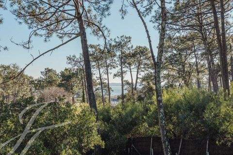 Lège-Cap-Ferret Häuser, Lège-Cap-Ferret Haus kaufen