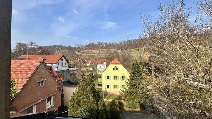 Ausblick zum Weinberg