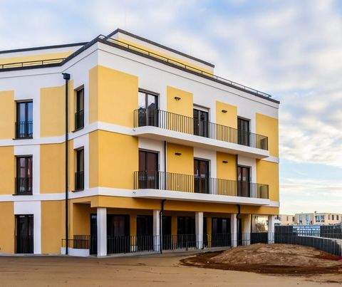 Dresden Büros, Büroräume, Büroflächen 