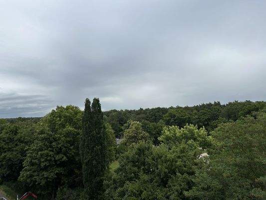 Blick vom Balkon ins Grüne