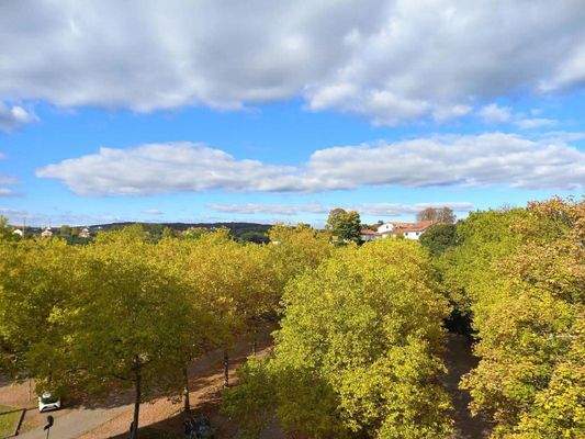 Ausblick aus der Küche