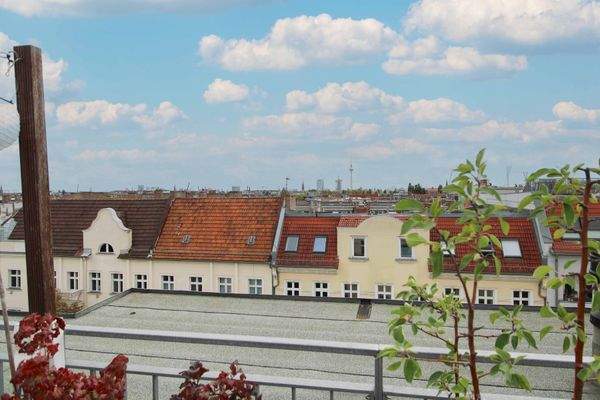 18. Aufblick Dachterrasse auf Fernsehturn uvm.
