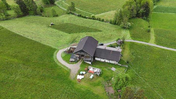 Hof_Antholz_Wald_Alpenwiese_ruhig_Natur_Dolomiten_Südtirol