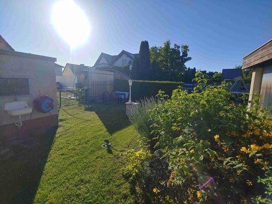Garten 2.jpg